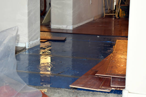 Professional Flood Damage Repair technician working in Arkdale, WI